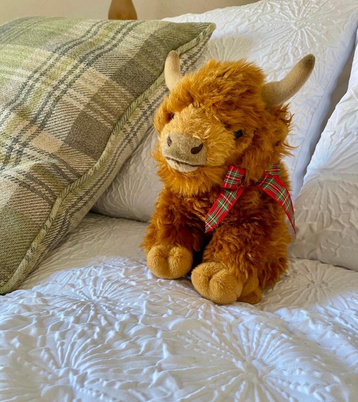 Bruachdryne * Braemar
